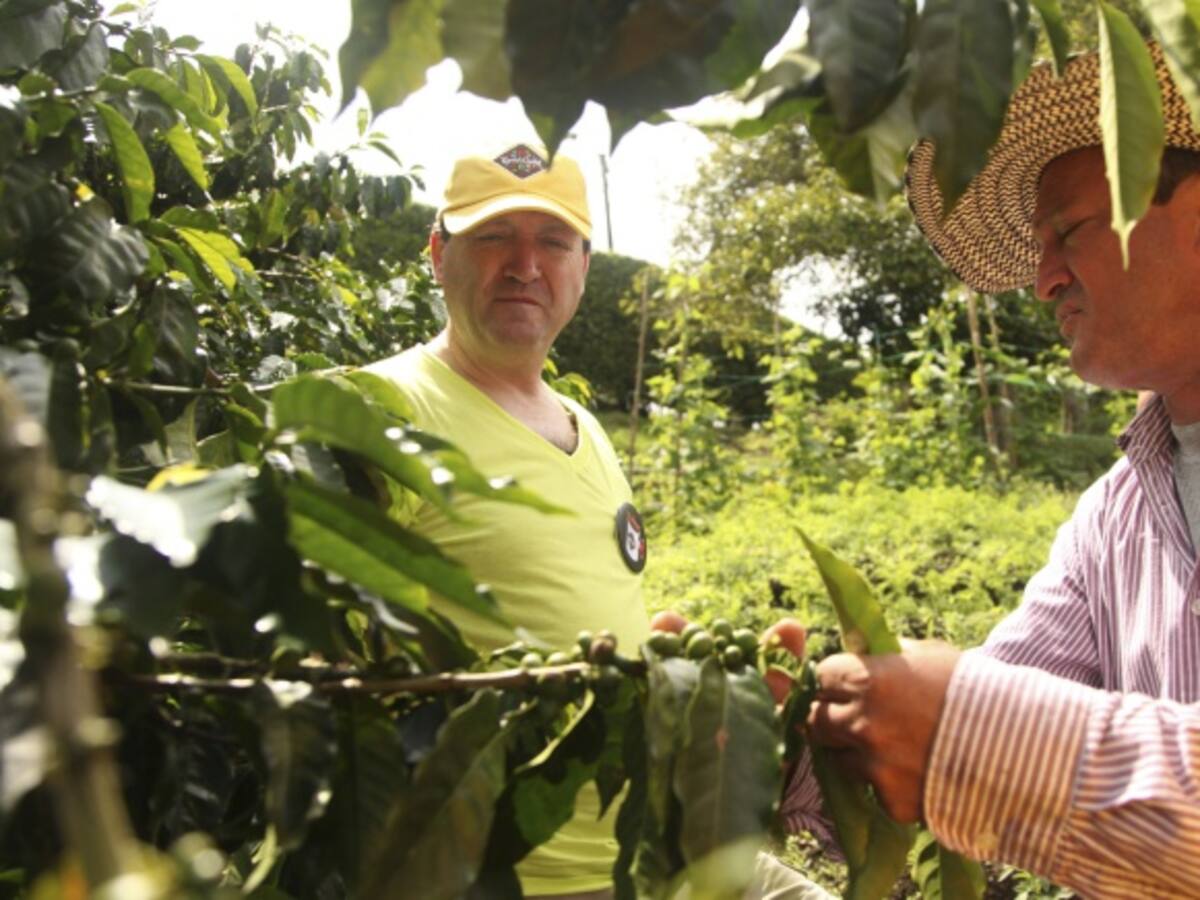 Diseñan plan especial de seguridad para cosecha cafetera en el Huila