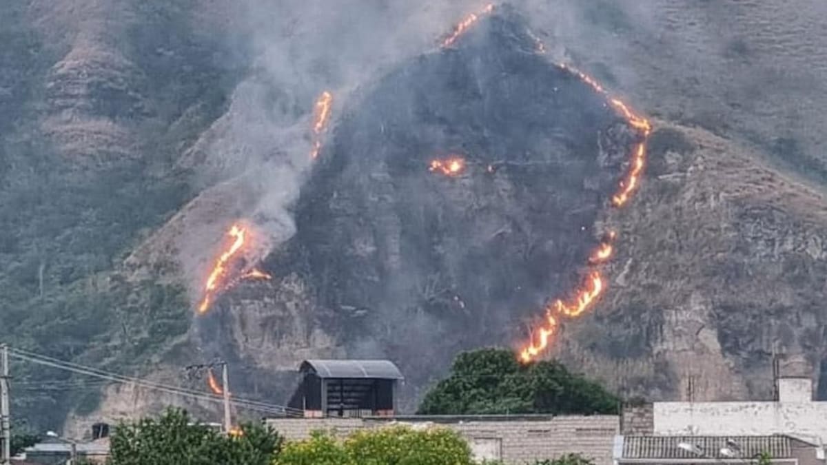 En el Tolima hay 17 municipios en alerta roja por riesgo de incendios forestales