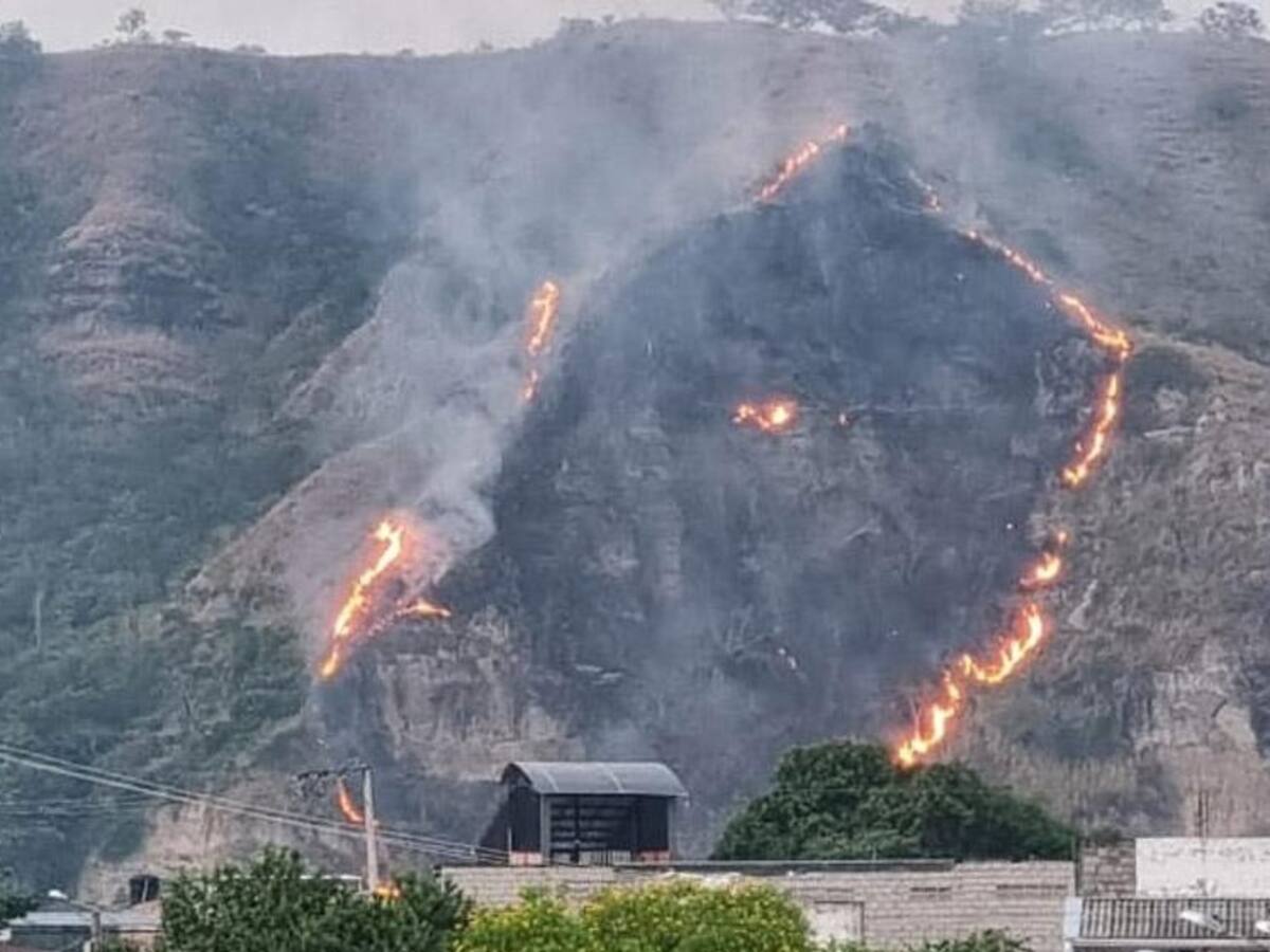 En el Tolima hay 17 municipios en alerta roja por riesgo de incendios forestales
