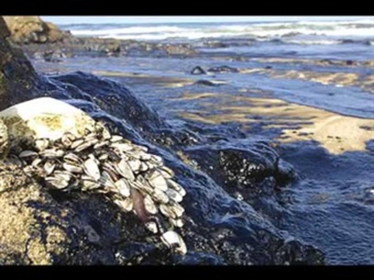 Tras 'señales alentadoras' BP espera mantener sellado el pozo averiado en el Golfo de México