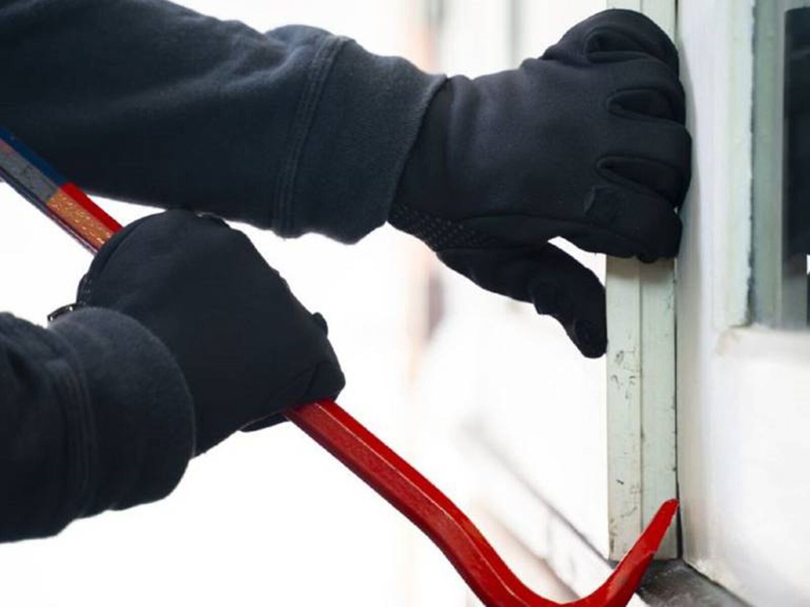 Imagen de referencia