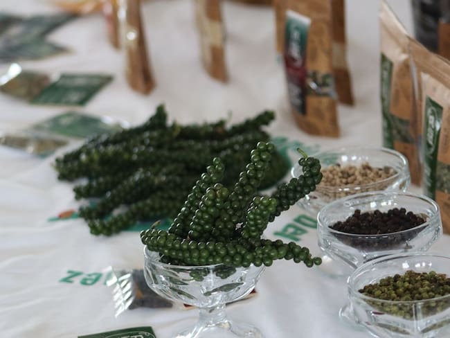 FAO y KOICA lanzan proyecto agroforestal para restaurar 120 hectáreas de bosque en el Putumayo