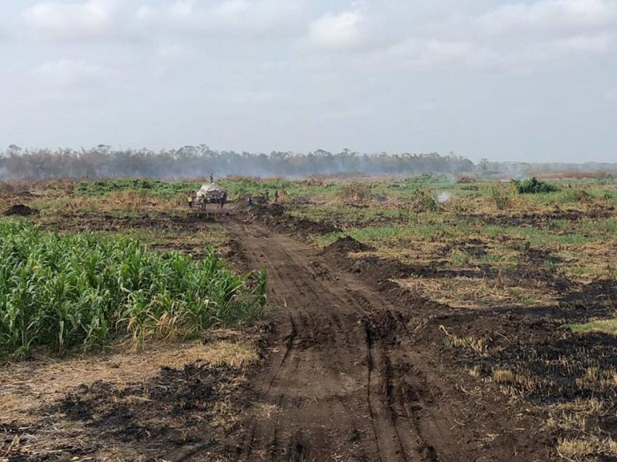 Autoridades logran apagar el incendio en la Ciénaga de Corralito en Cereté