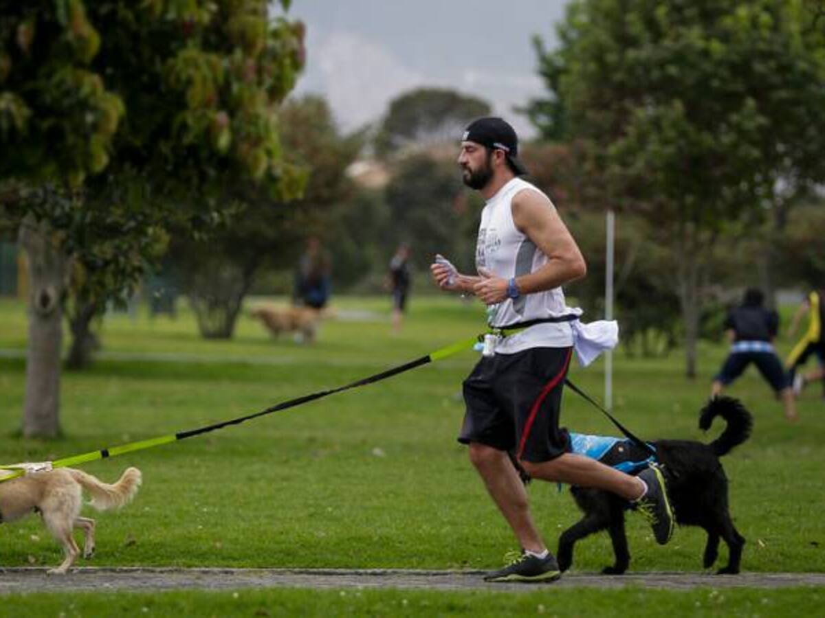 Centro Canino de la Cruz Roja realizará festival dedicado a mascotas