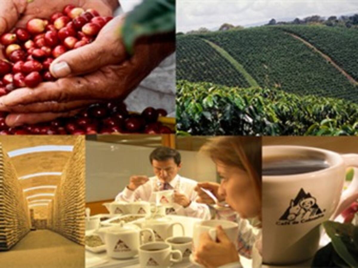 El Gobierno Nacional le bajó el tono a la crisis cafetera que vive el país