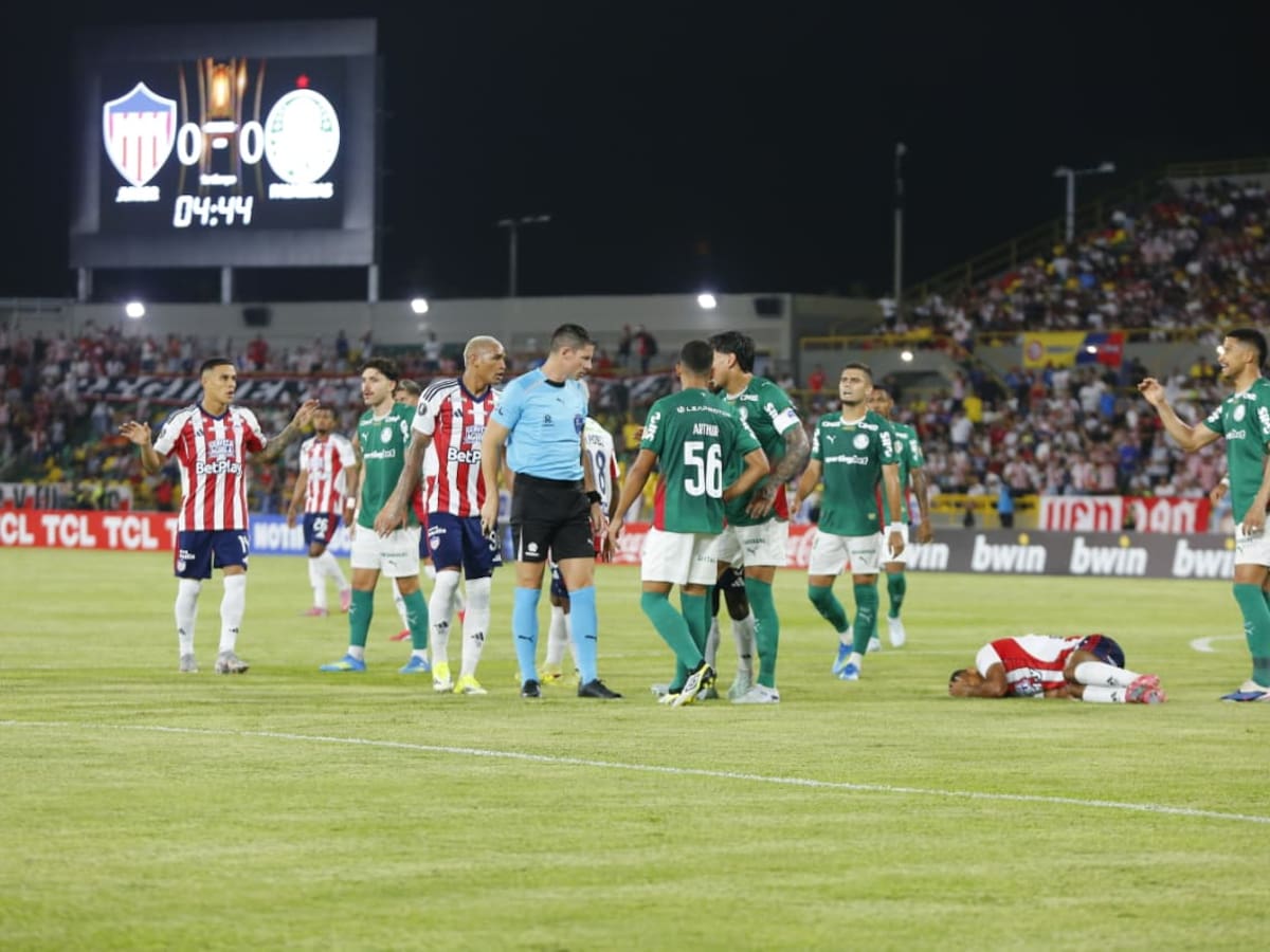 Copa Libertadores: Así quedó Junior en el Grupo F tras empatar con Palmeiras