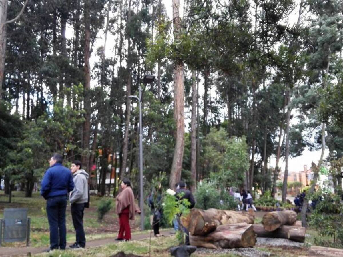 Interponen acción popular frente a Plan Parcial Dolores-Mijitayo