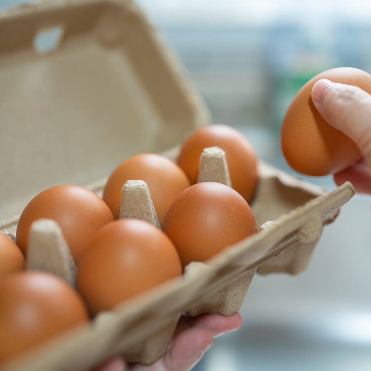 Precio del huevo sigue a la baja: en esto se encuentra una cubeta en Corabastos