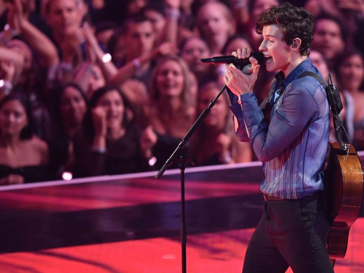 Netflix le hará película a Shawn Mendes y este será el protagonista