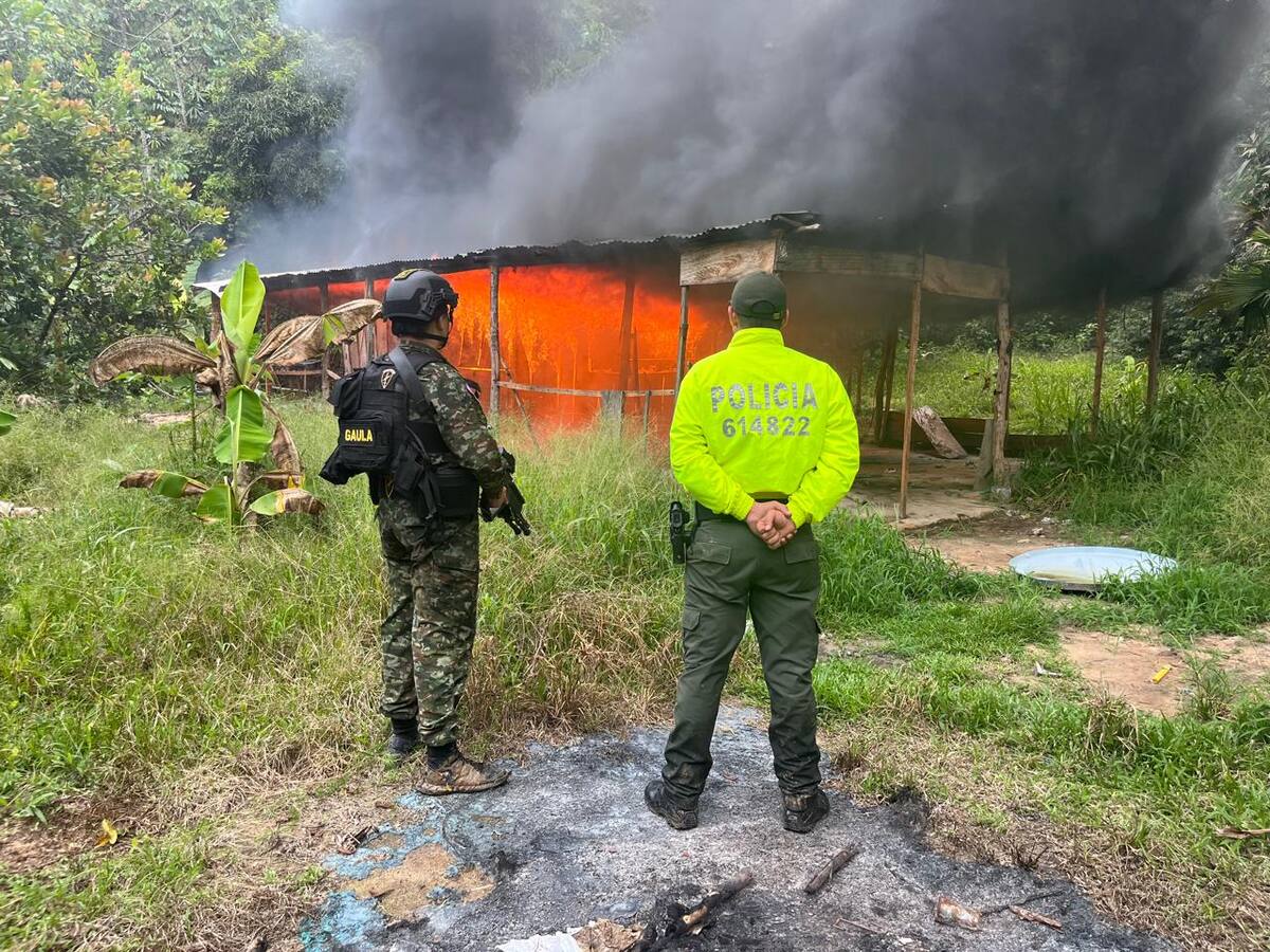 Santander: En Betulia desmantelaron dos laboratorios de coca que financiaban al Clan del Golfo