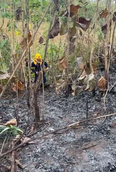 Incendio forestal. Foto: captura de video.