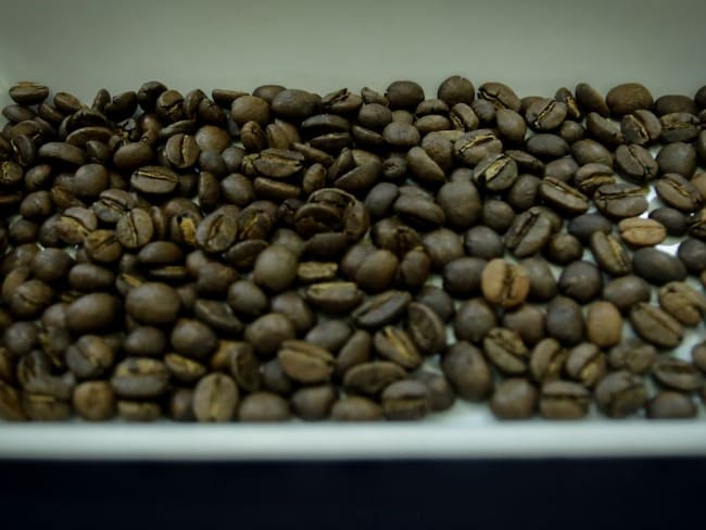 Cosecha de café podría llegar a 14 millones de sacos: Federación de café