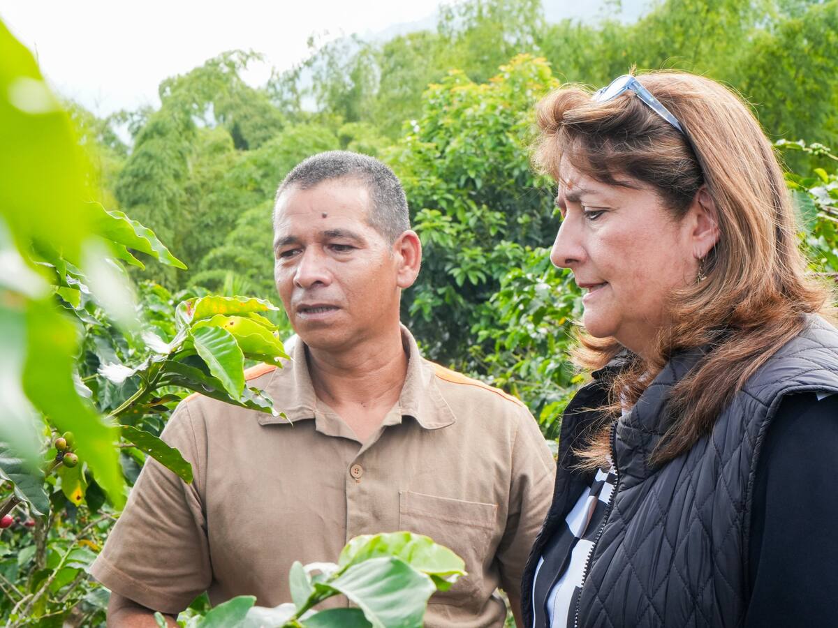 Cárcel Peñas Blancas, en Calarcá, Quindío, ejemplo de reinserción social a través del café