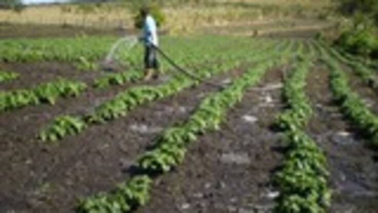 Empresario y agricultor Nelson Vives, habla sobre el nuevo escándalo de Agro Ingreso Seguro