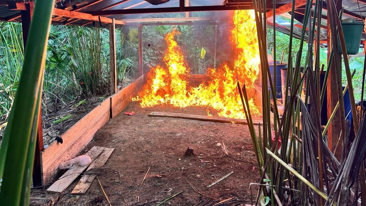 Nuevo golpe a laboratorios de coca del Clan del Golfo en el sur de Córdoba
