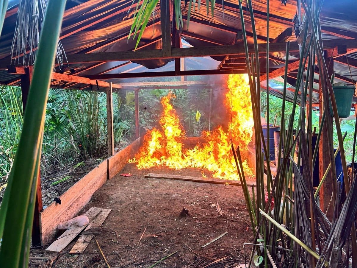 Nuevo golpe a laboratorios de coca del Clan del Golfo en el sur de Córdoba
