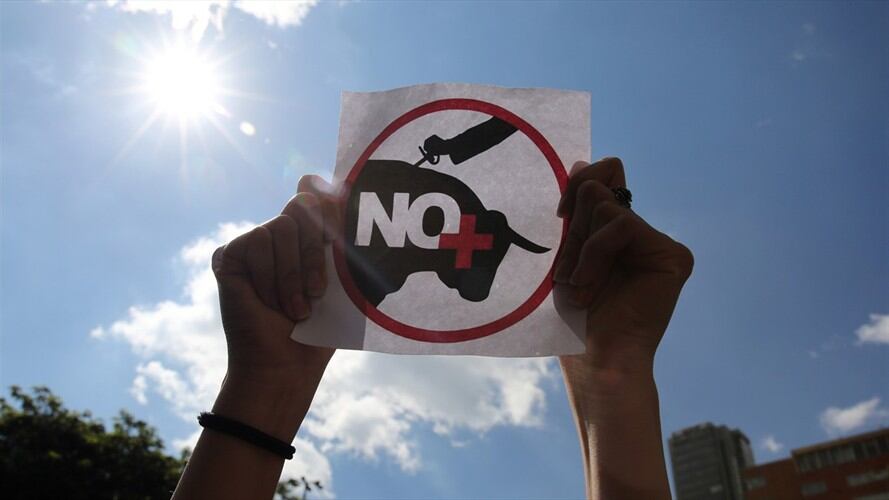 Proyecto para prohibir las corridas de toros avanza en el Congreso. Foto: Agencia EFE