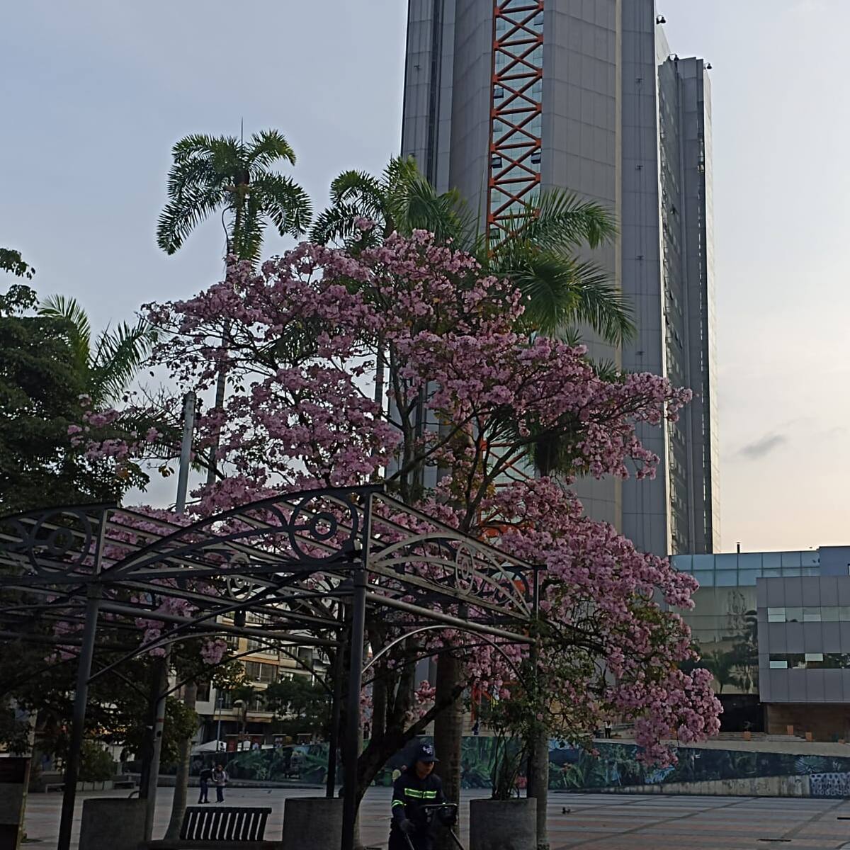 Lunes 27 de marzo, las noticias más importantes de Armenia y Quindío
