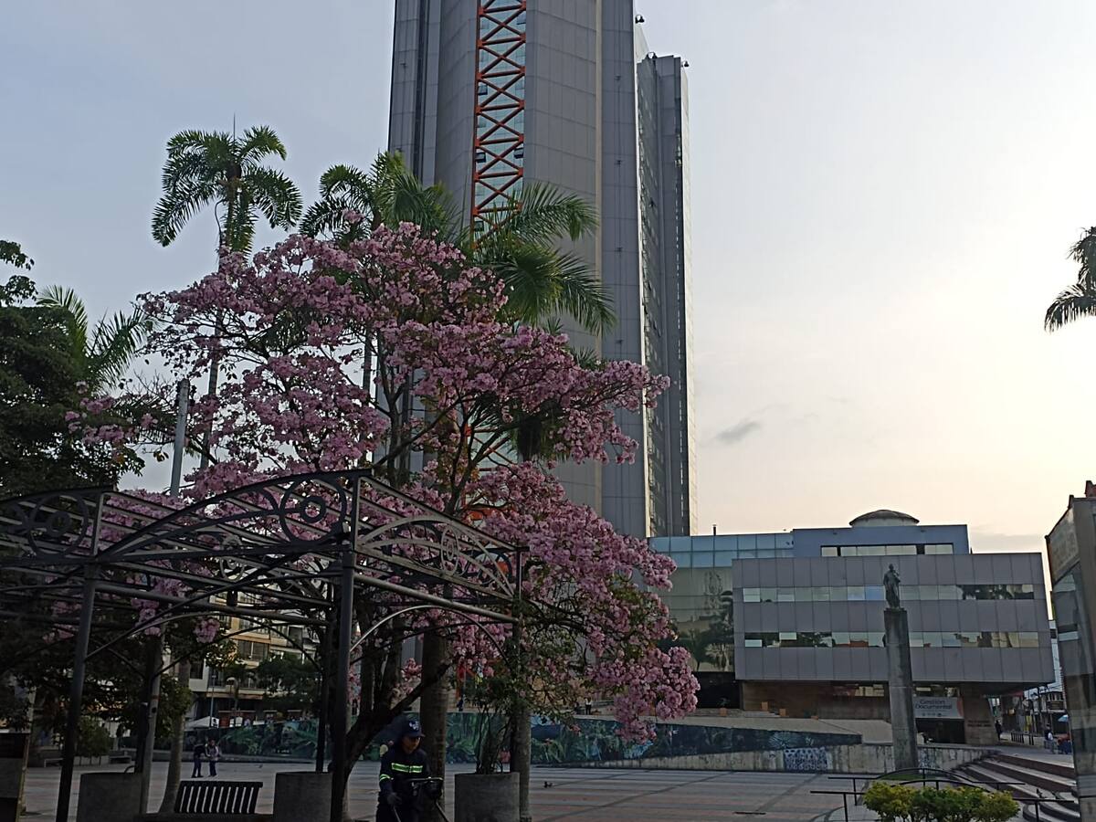 Lunes 27 de marzo, las noticias más importantes de Armenia y Quindío