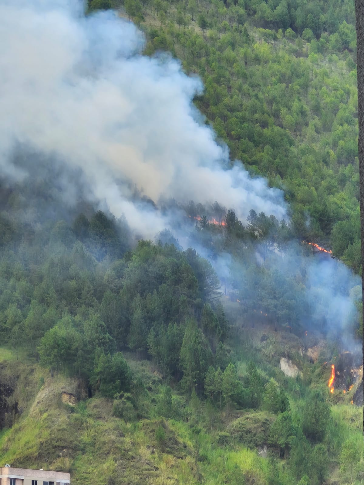 Incendio en Cerro Quitasol- foto alcaldía de Bello