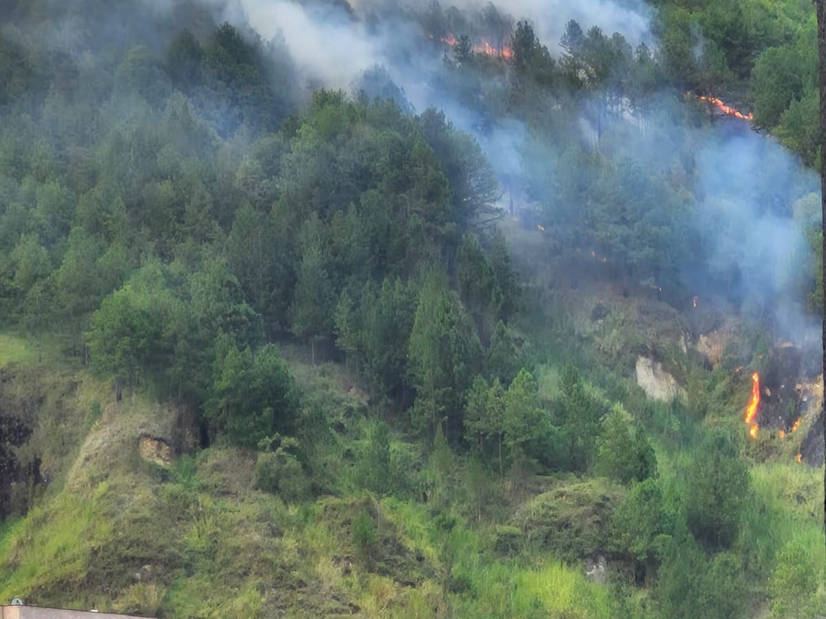 En Bello, tres incendios forestales generaron una alerta; el más grande está en el Cerro Quitasol