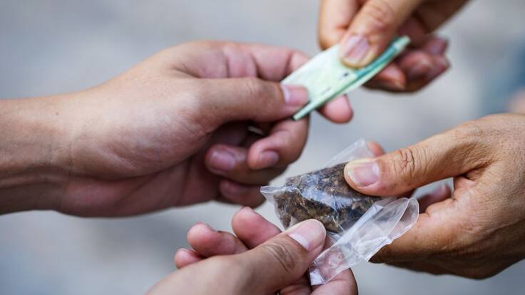 Legalización de drogas debe llevar licencias, impuestos y regulación