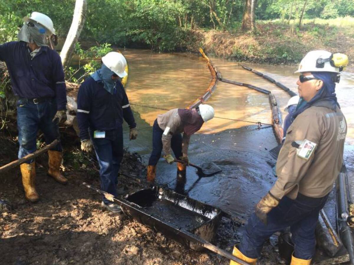Video: No saben qué produce afloramiento de crudo