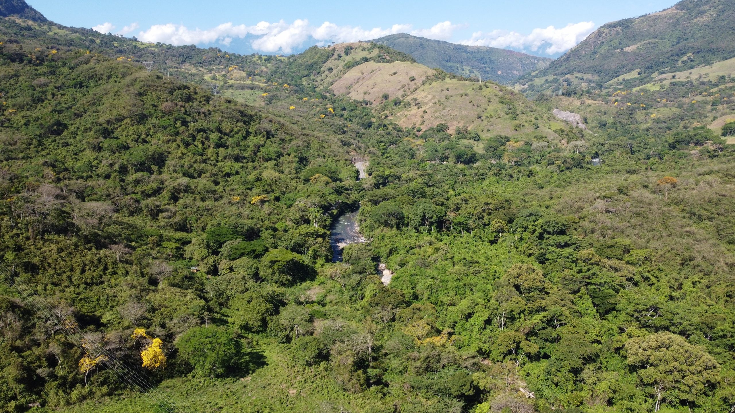 Foto: Ministerio de Ambiente