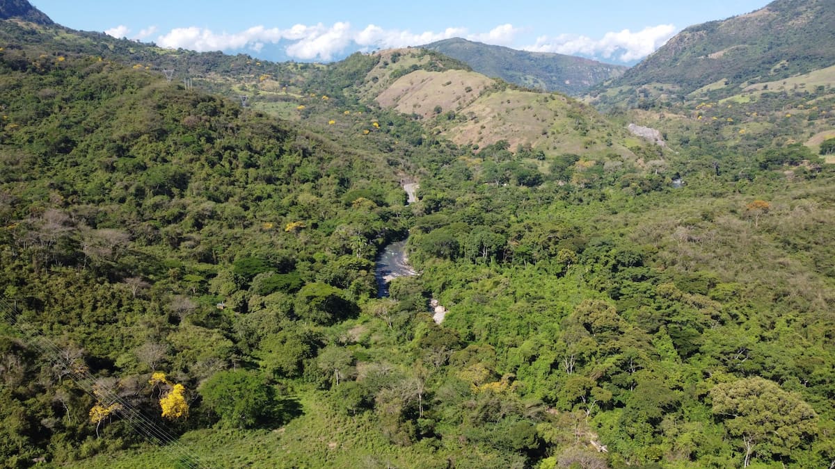 Comité Santurbán da “ultimátum” al Gobierno para definir futuro de la reserva La Baja en Santander
