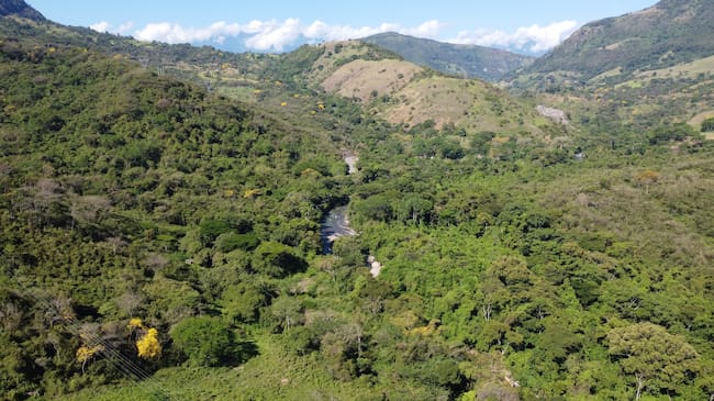 Foto: Ministerio de Ambiente