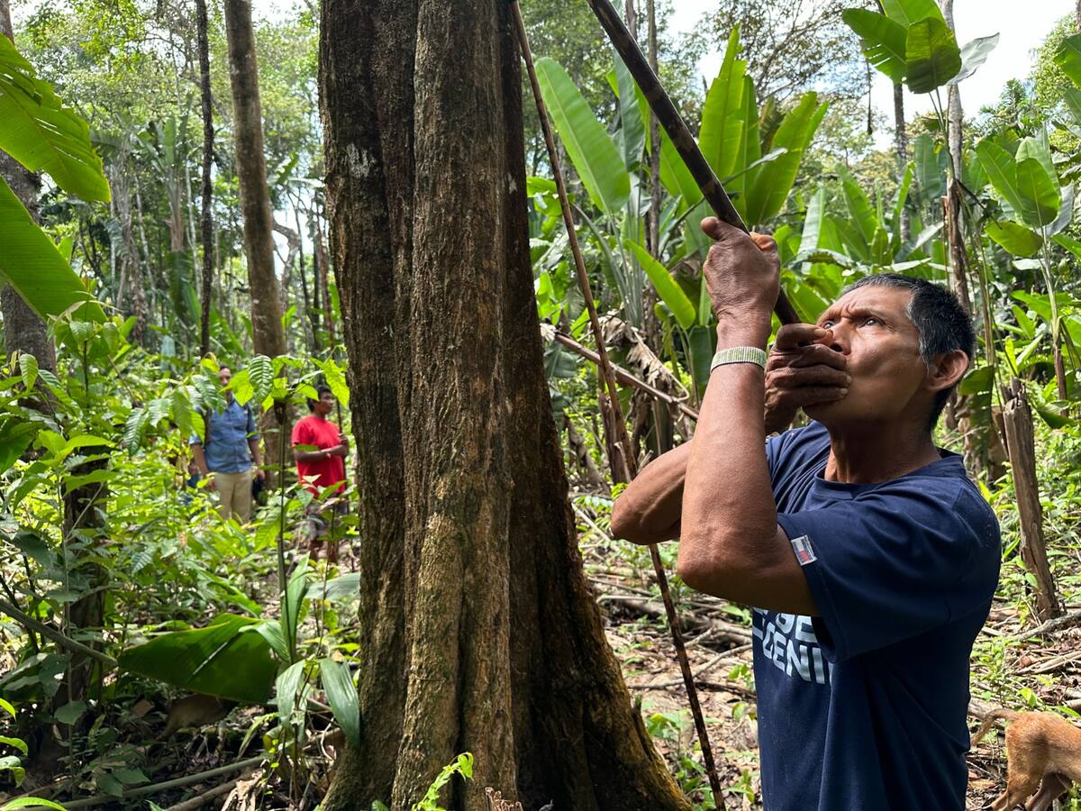 El reencuentro de los Nukak con la tierra de sus ancestros