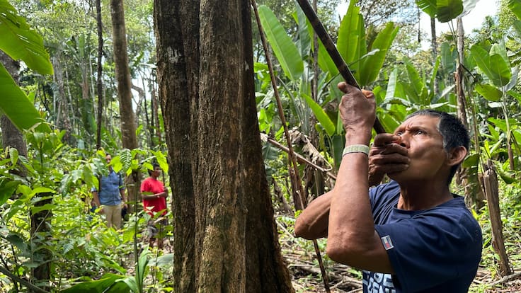 El reencuentro de los Nukak con la tierra de sus ancestros