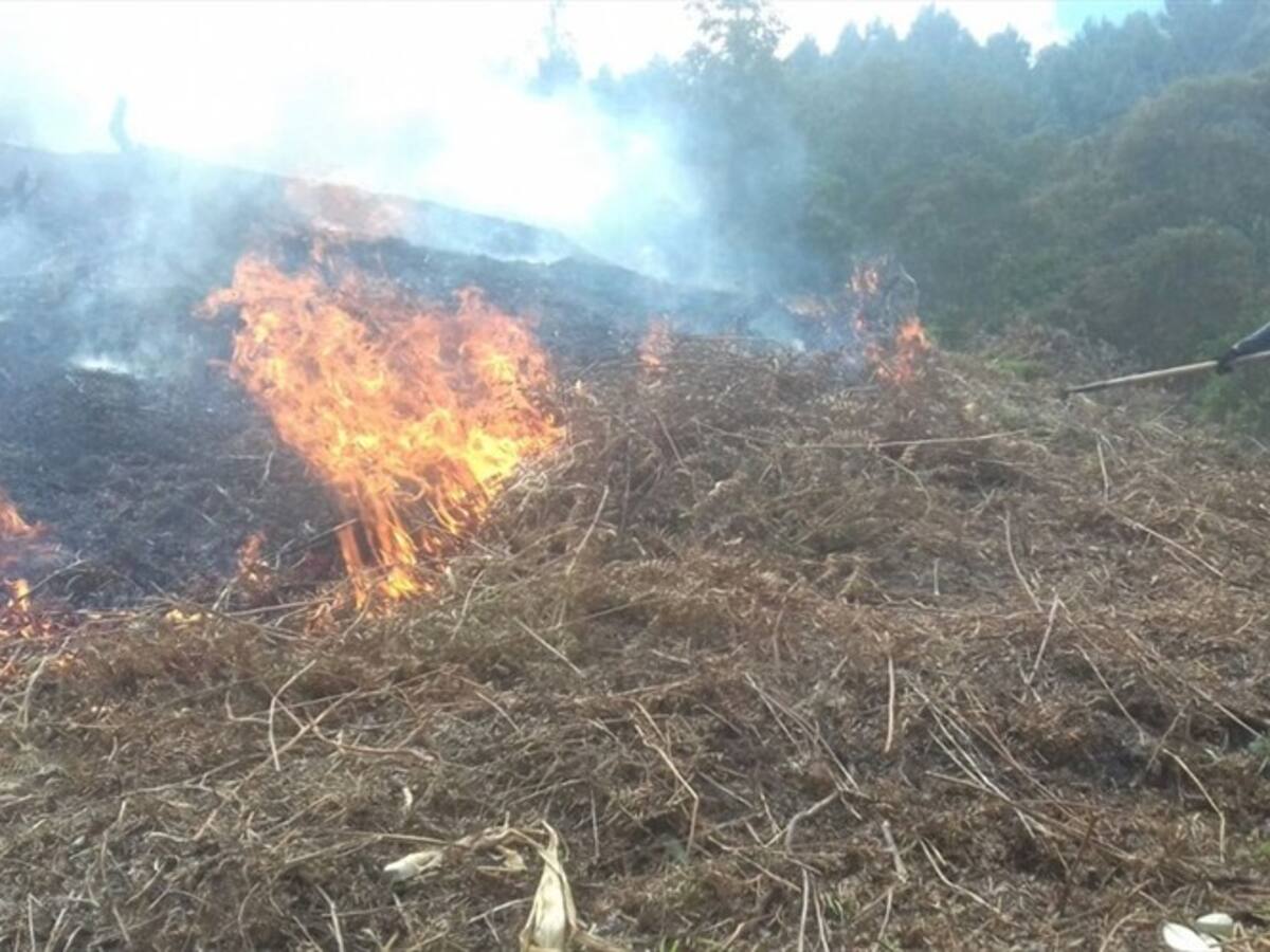 Cuerpo de Bomberos controla incendio en el municipio de Sotaquirá en Boyacá