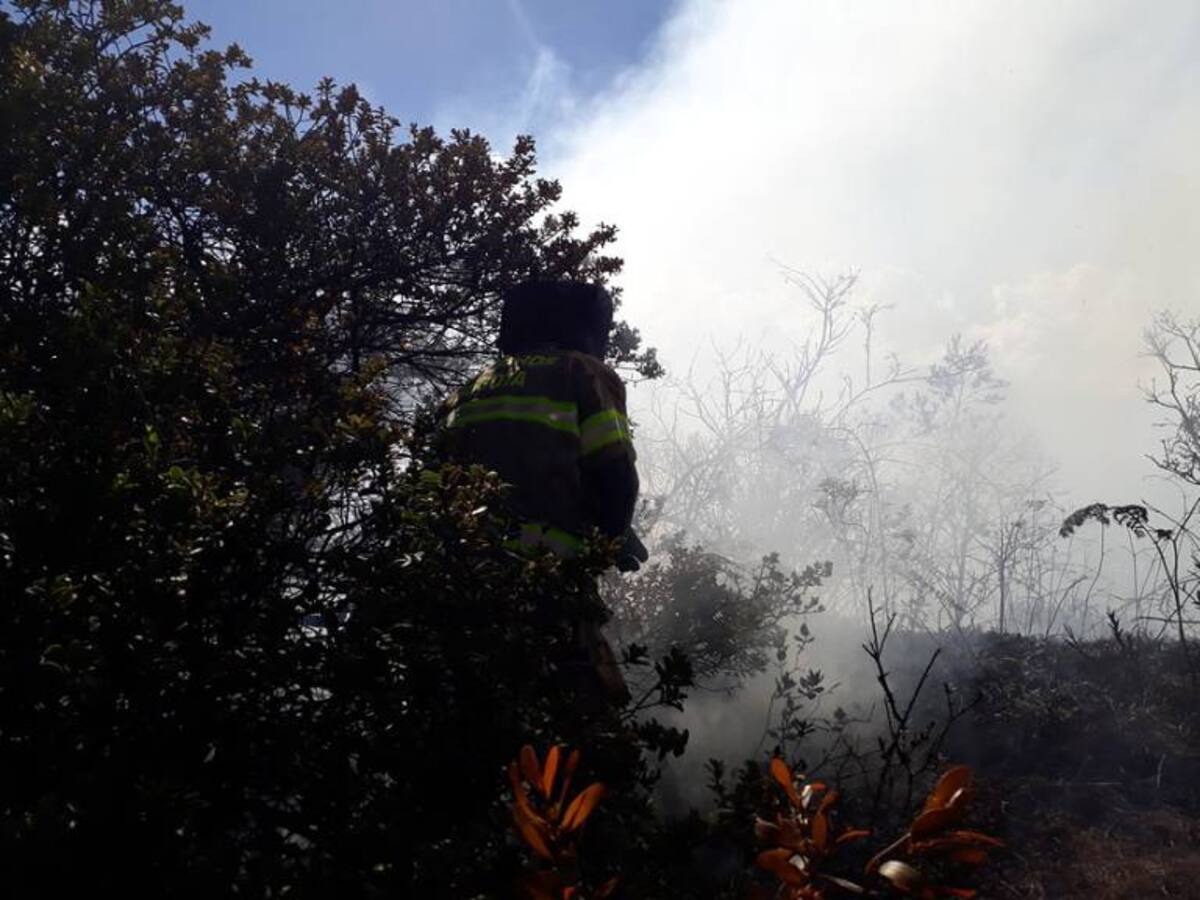 En estado de emergencia se encuentra el Guaviare por incendios forestales