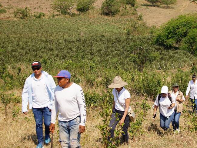 Sentencia de restitución activa oferta estatal en El Carmen de Bolívar