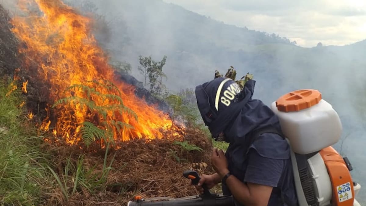 En alerta roja por incendios forestales, la situación es tensa en 33 municipios del Huila
