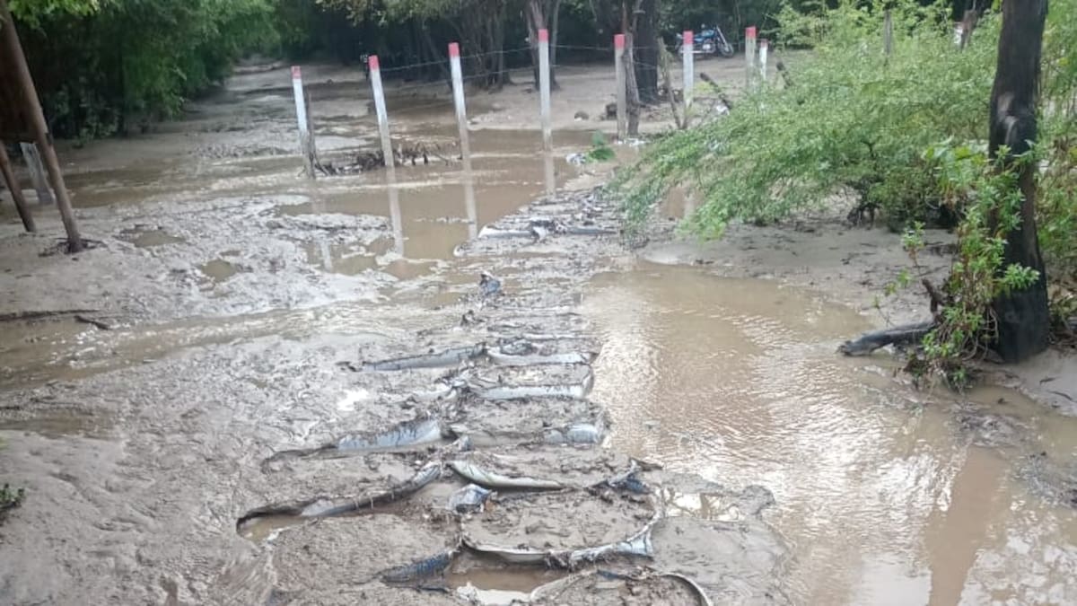 Fuertes lluvias causan afectaciones al ecoturismo en el Parque Nacional Natural Tayrona