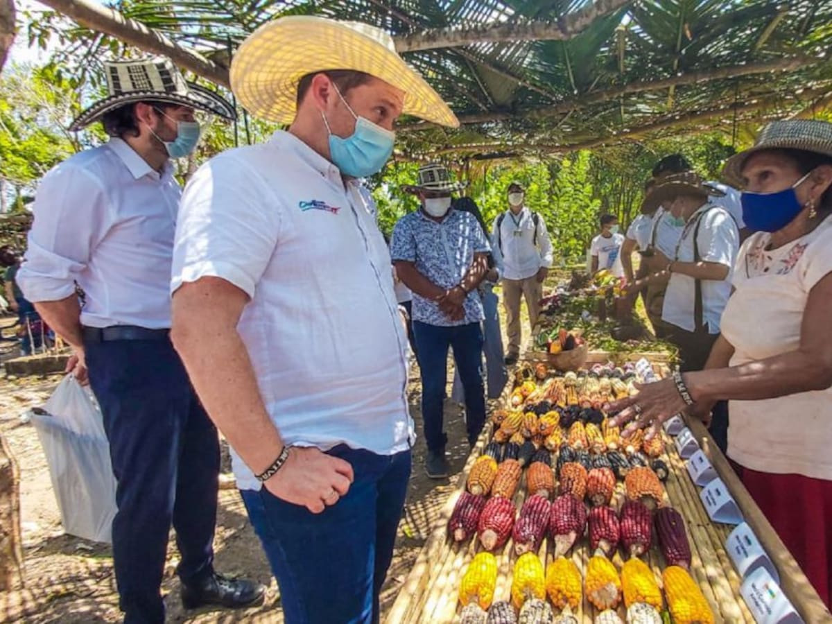 Impulsan economía en Sucre con proyectos innovadores y aval internacional
