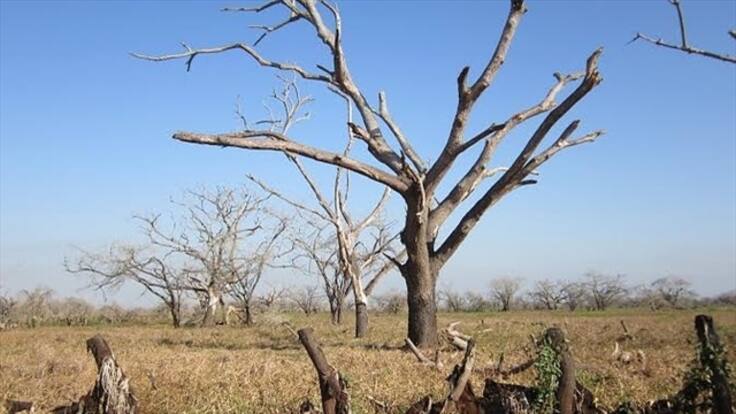 Hay alta probabilidad de que ocurra el fenómeno El Niño: director IDEAM