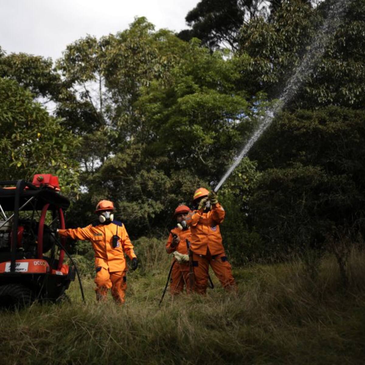 Alerta en Risaralda por posibles incendios de cobertura vegetal