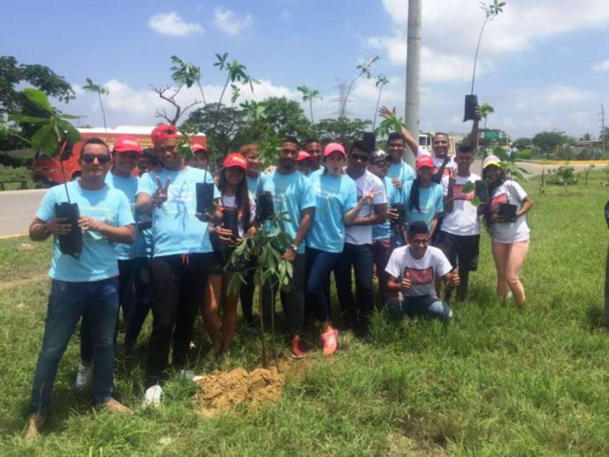 Campaña de Germán Vargas siembra arboles en barrio El Pozón de Cartagena