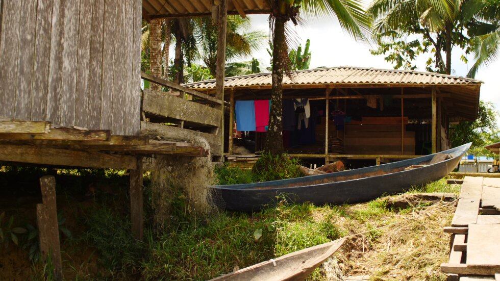 47 años de Papayo sobre el río Naya