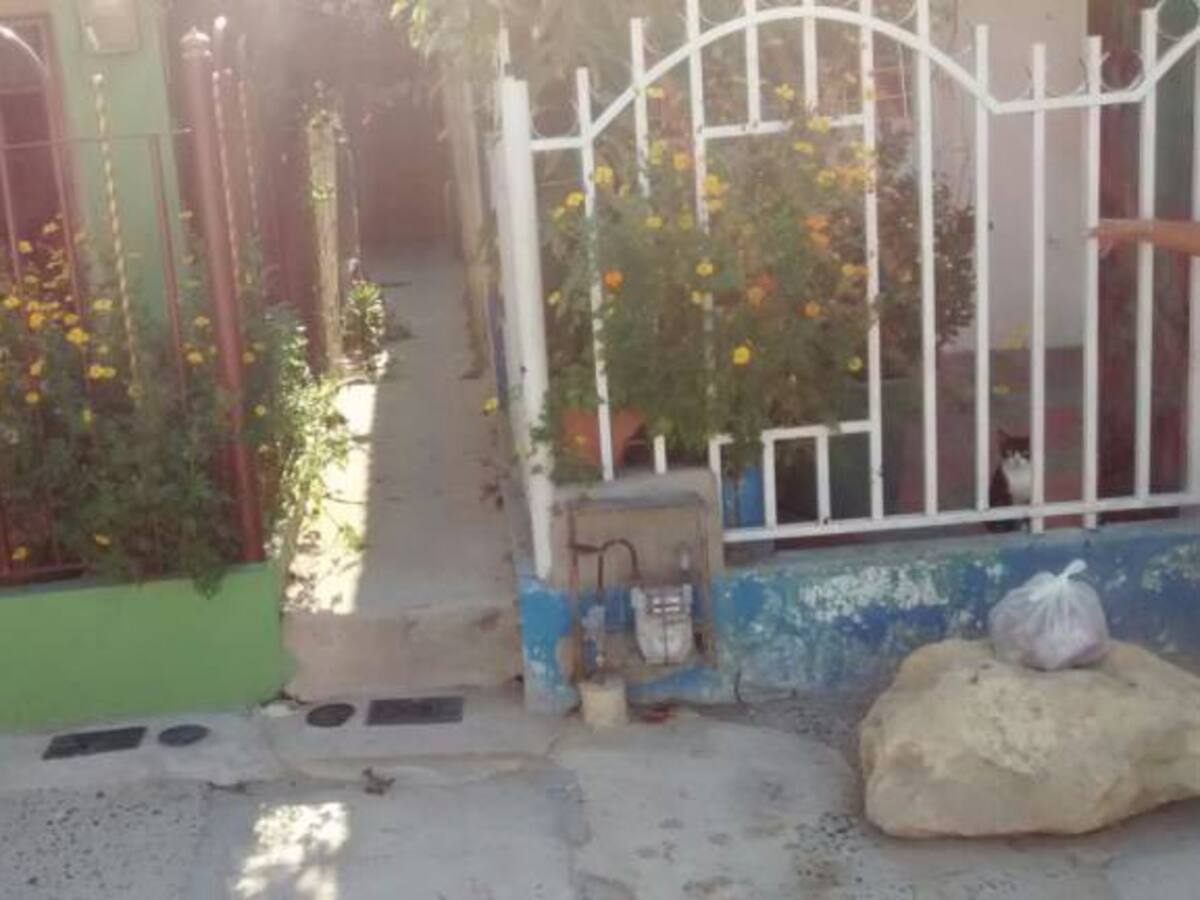 Delincuentes lo matan por robarle el celular
