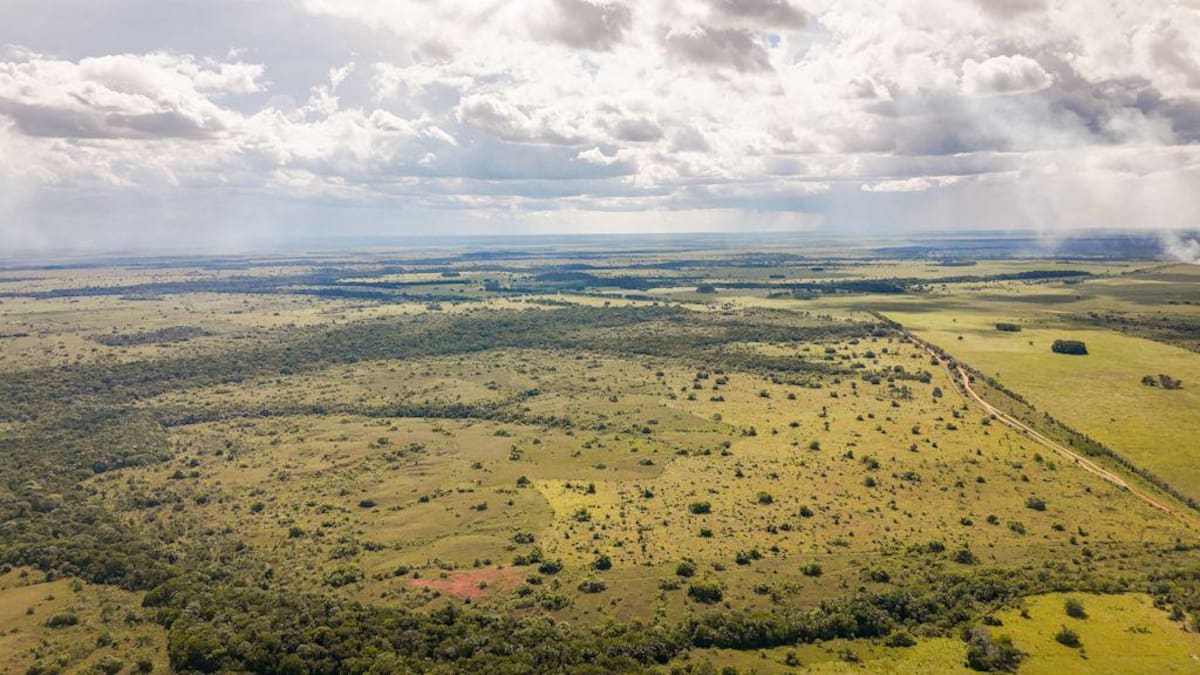 ANT: Un millón de hectáreas decididas en procesos agrarios, 335 mil de ellas se declararon baldías