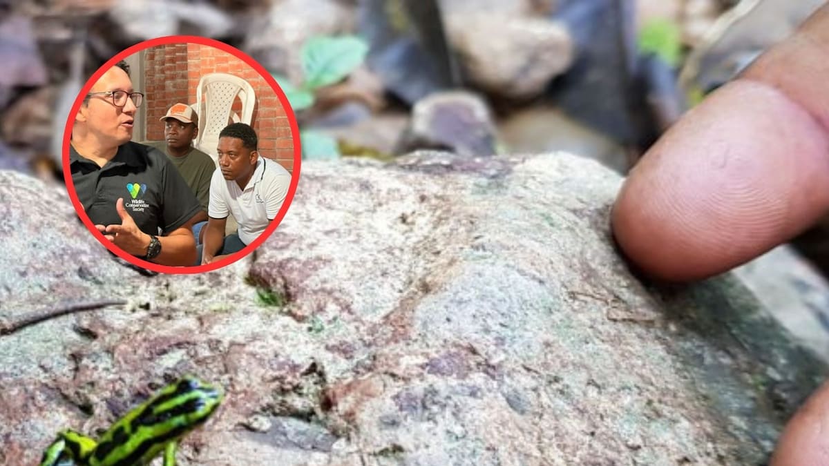 Avanza proceso para declarar área protegida en Santa Cecilia, Pueblo Rico