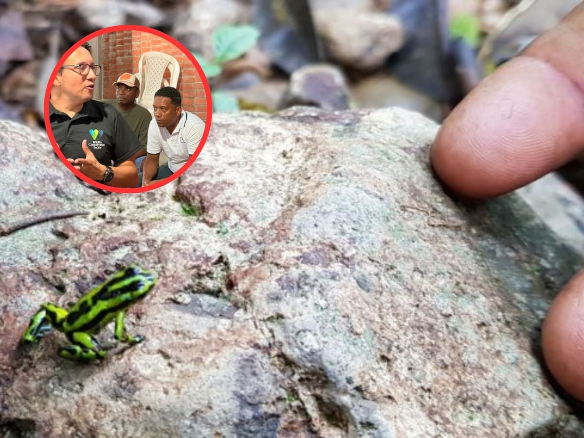 Avanza proceso para declarar área protegida en Santa Cecilia, Pueblo Rico