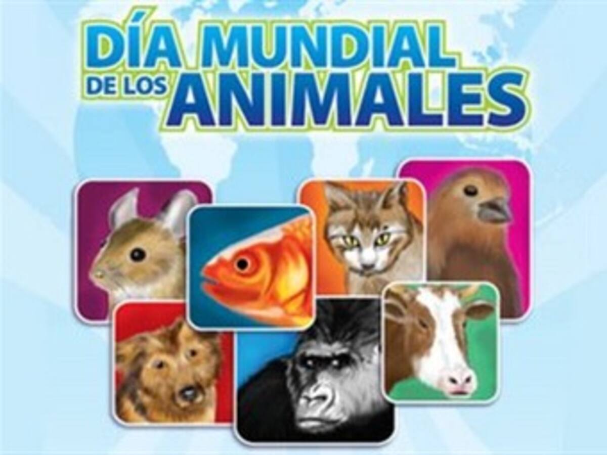En Medellín se celebrará el día mundial de los animales