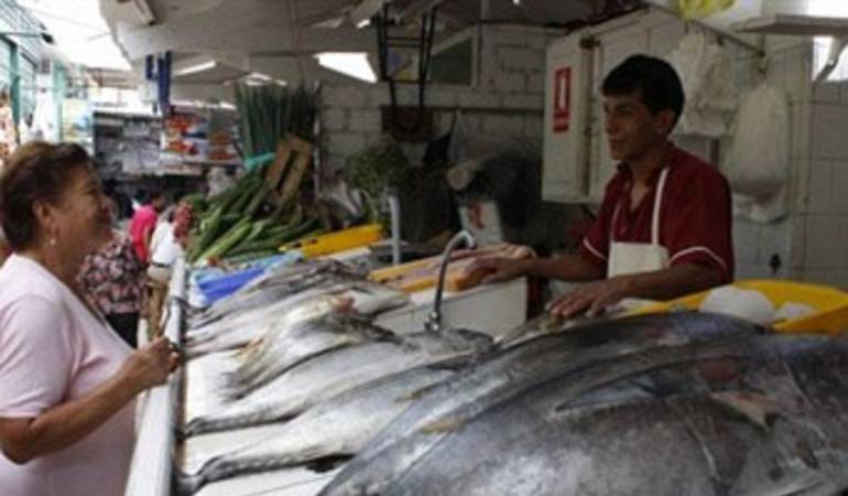 Autoridades recuerdan la importancia de comprar pescado en sitios reconocidos.
