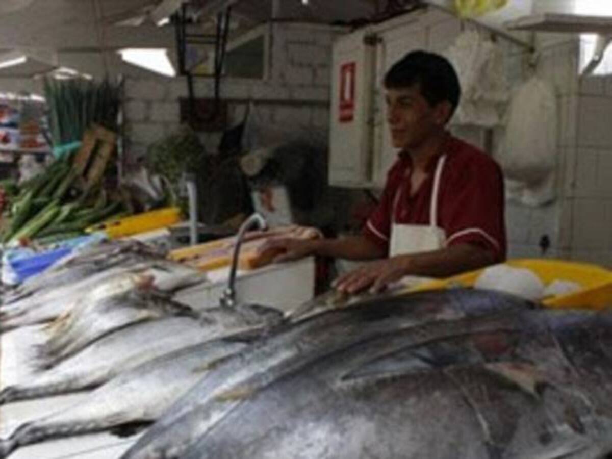 En un 40% se ha reducido la venta del pescado debido al fenómeno del niño en Armenia