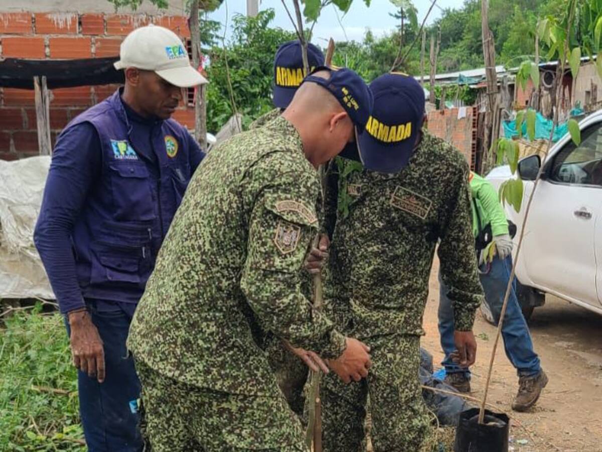 En el barrio Cerros de Albornoz fueron sembrados 250 árboles